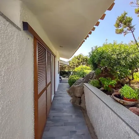 Gerbera - 250m Dal Mare-portobello Di Gallura Ferienhaus *