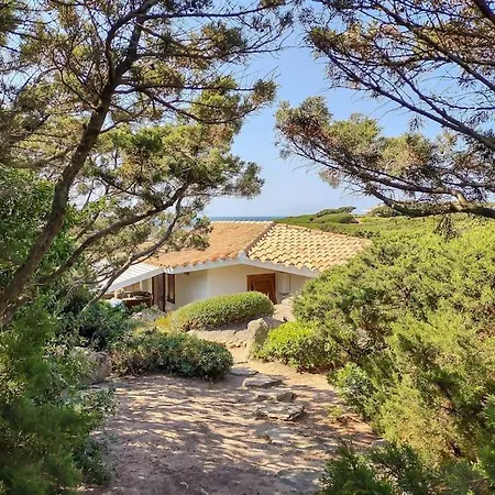 Holiday home Gerbera - 250m Dal Mare